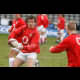 image 11 of 71